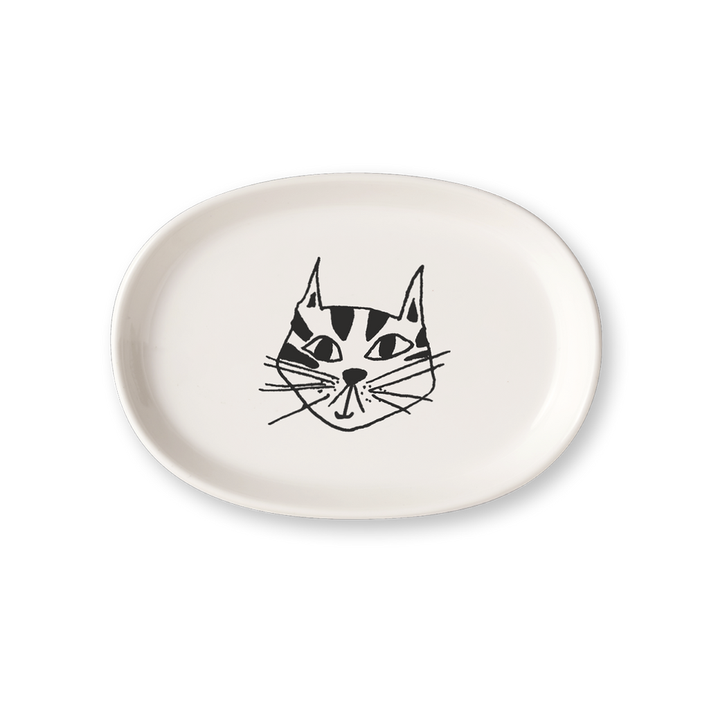 dish kitty