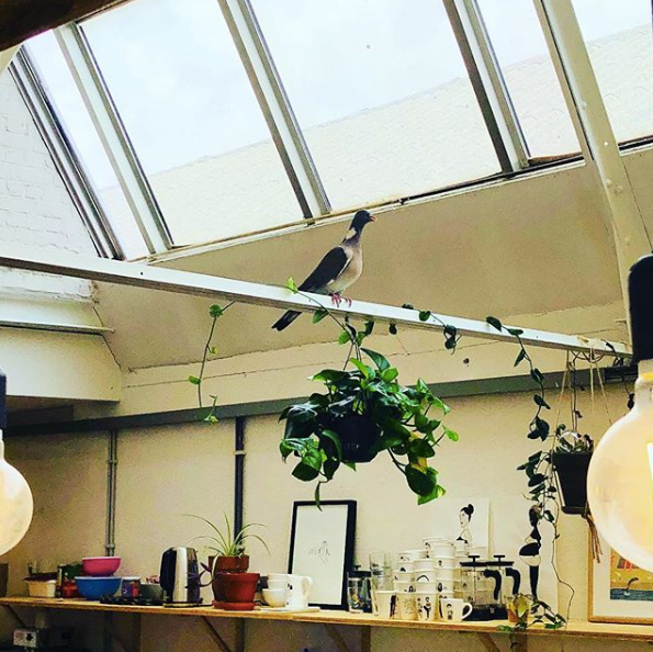 Een pottenkijker met vleugels in het atelier