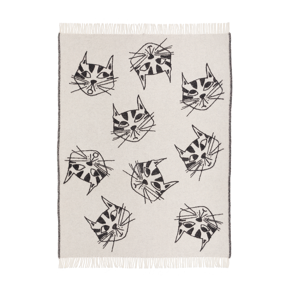 plaid wol cats all over