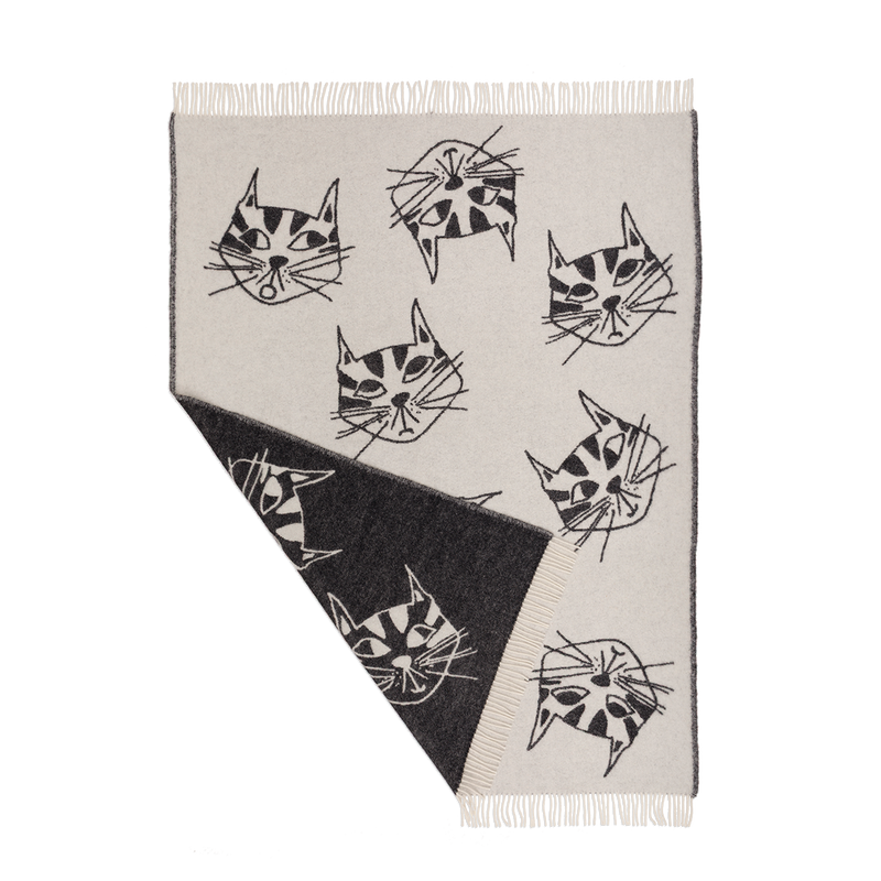 plaid wol cats all over