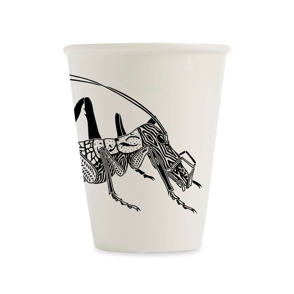 beker helen b 💙 pol cosmo 2025