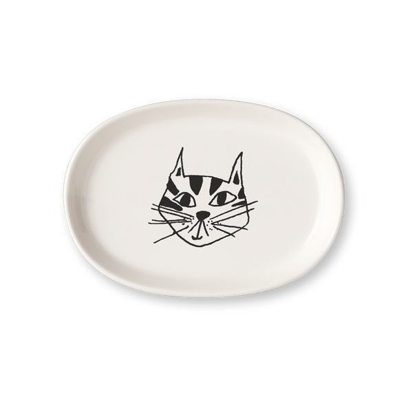 schaaltje kitty