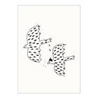 postkaart birds