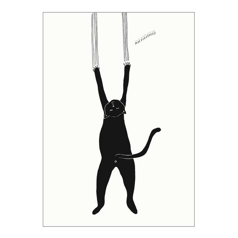 poster cat iiii A4