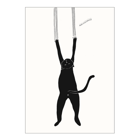 poster cat iiii A4