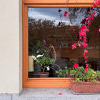 raamsticker santa peace pigeon xl